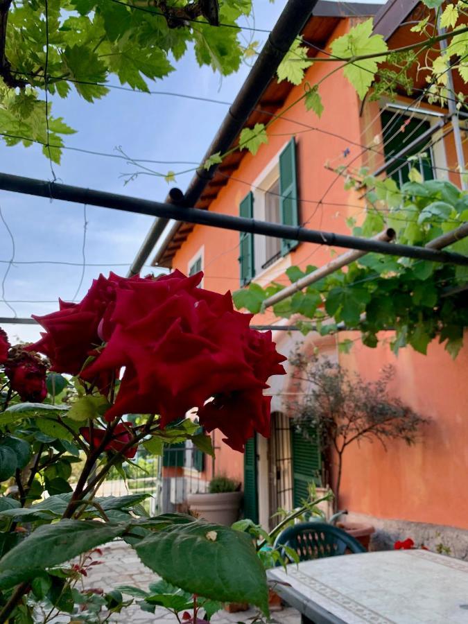 Bed and Breakfast Ligo Вілланова-д'Альбенґа Екстер'єр фото